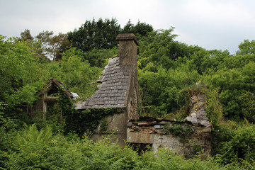Fototapeta na wymiar Old stone ruin of a country cottage in Ireland