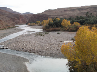 Morocco. Landscape in autumn