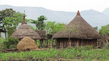 Fototapeta na wymiar Bauernhof in Äthiopien kurz nach der Regenzeit 