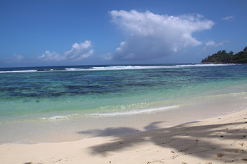 Palmenschatten am Strand von Mahe`