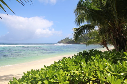 Sunshine On Mahe`Beach Seychells