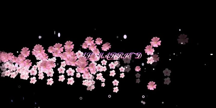 360 degree FLORAL BACKGROUND