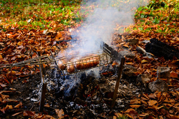Grilling sausages on barbecue grill. BBQ in the autumn forest. Close-up. Soft focus