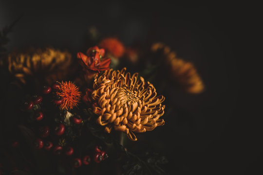 Dark And Moody Autumnal Flowers