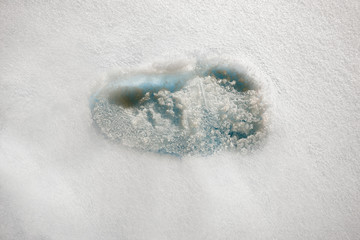 Iced footprint on white snow