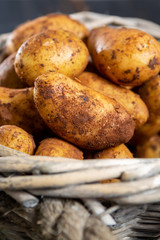 New harvest potatoes not washed with soil on table