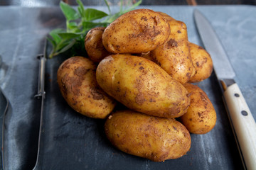 New harvest potatoes not washed with soil on table