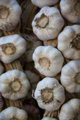 Cabezas de ajos en ristra vertical