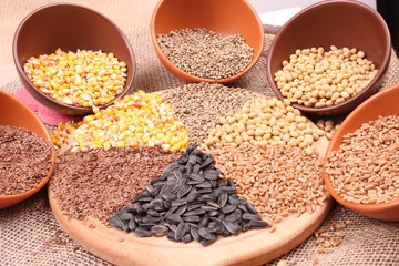 seed