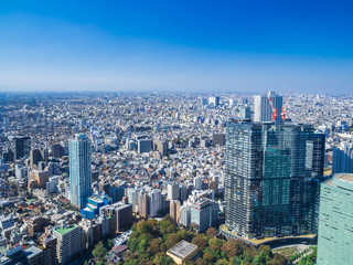 Obraz premium 東京 都庁から眺める都市風景