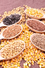 Fototapeta premium seed