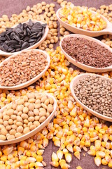 Fototapeta premium seed