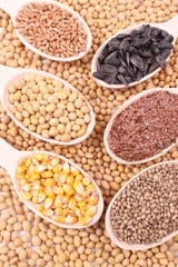 seed