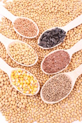 seed
