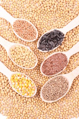 seed