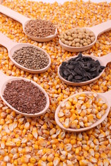seed