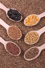 seed