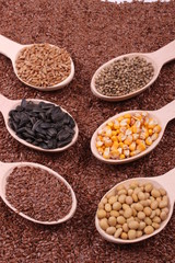 seed