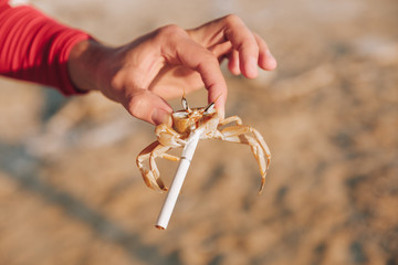 Cigarette crab in claws
