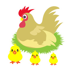 The hen is taking care of its children.