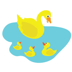 The duckling is taking care of its children.