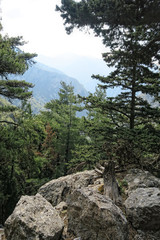 Landscape of Samaria Gorge in Crete (Greece)