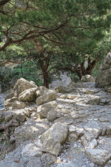 Landscape of Samaria Gorge in Crete (Greece)
