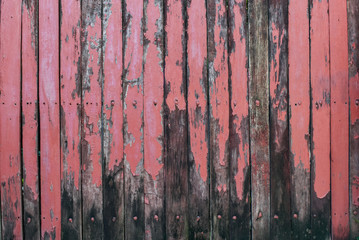 Cracked old paint. shabby wooden wall. Paint Peeled Red Weathered Isolated Surface.