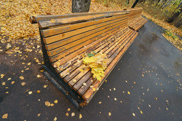 Farewell bouquet of autumn leaves on a bench in the park