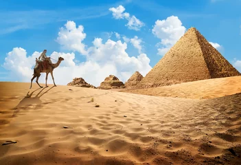 Foto op Plexiglas Kameel in de buurt van piramides © Givaga
