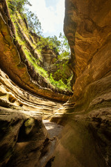 Water erosion physiognomy