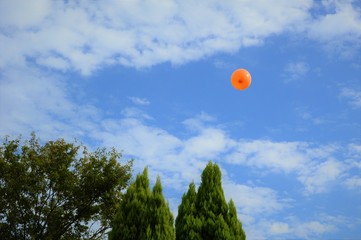 風船が飛んだ