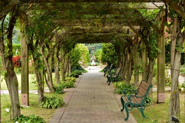イギリス庭園　緑のアーチ　横
