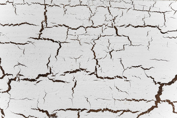 wood  texture vintage pattern background