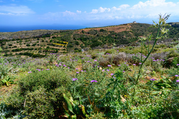 landscapes of Crete, Greece