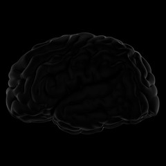 3D Illustration of human brain. Black background