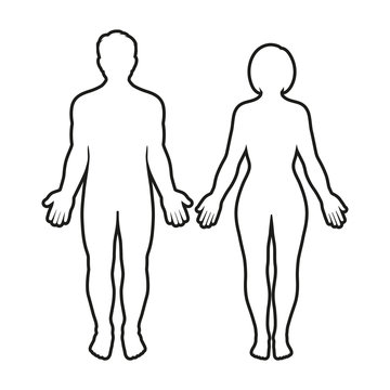 Male and Female Body Outline Stock Vector - Illustration of