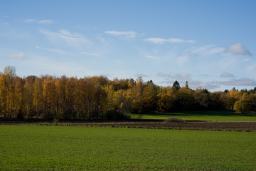 Rural late autumn landscape in Mälaröarna, Stockholm