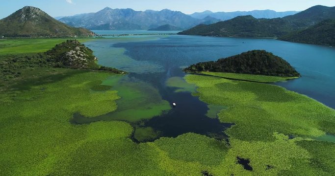 Aerial view of the beautiful landscape of Lake Skadar in the mountain on a sunny day. Montenegro. The territory of Lake Skadar overgrown with plants.
