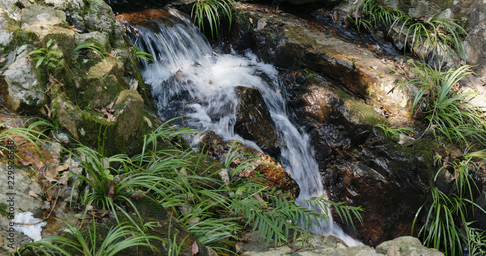 Wall mural Cascade river in the forest