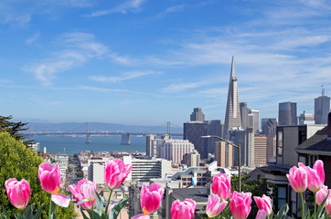 View of downtown San Francisco from a balcony with pink flowers 