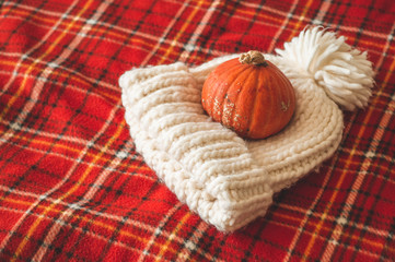 Happy Thanksgiving concept.Beautiful pumpkin, hat, on plaid red. Seasons greetings. Cozy autumn.
