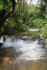 Vertical view of waterfall in the tropical forest in sunny day of summer. 