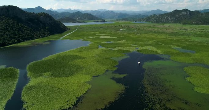 Aerial view of the beautiful landscape of Lake Skadar in the mountain on a sunny day. Montenegro. The territory of Lake Skadar overgrown with plants.
