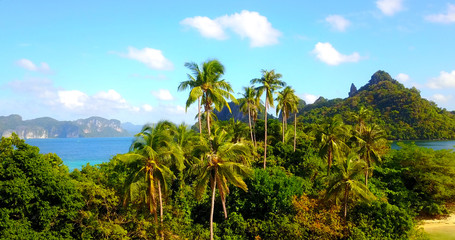 Fototapeta na wymiar Overhead View Of Palm Tree Island With Tropical Lagoon In Background - El Nido, Palawan, Philippines