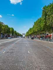 Obraz premium World famous Champs Elysees avenue