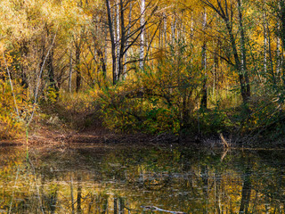 By the autumn pond