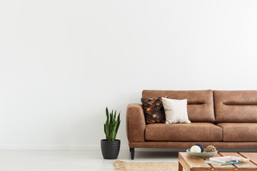 Pillows on brown leather settee in white living room interior with plant and copy space. Real photo