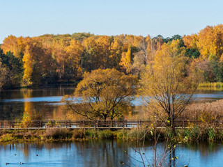 Autumn at the lake