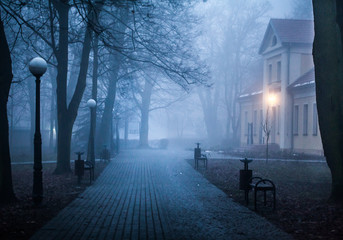 las © fotokutkowska